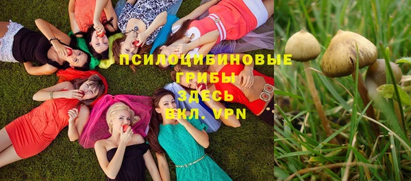 стаф Абдулино