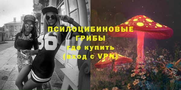 стаф Абдулино