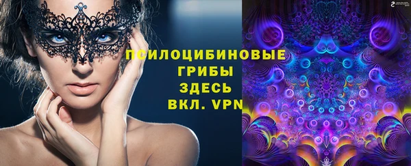 а пвп мука Абаза