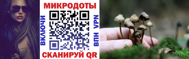 маркетплейс телеграм  Дивногорск  Галлюциногенные грибы MAGIC MUSHROOMS 