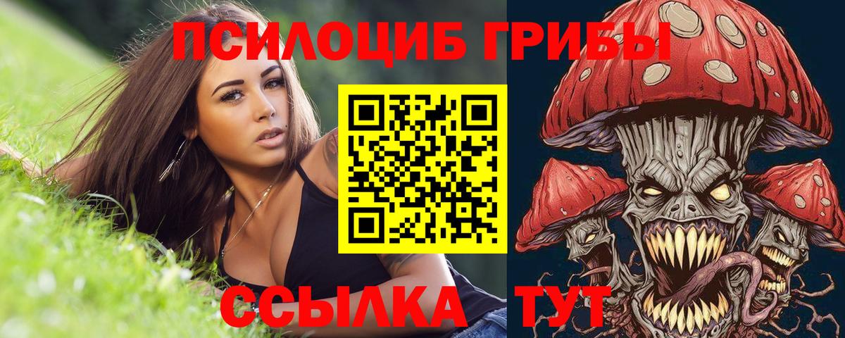Дивногорск  хочу   Вход с VPN  Галлюциногенные грибы GOLDEN TEACHER 